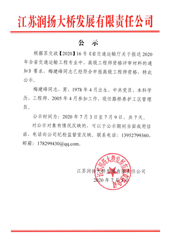 公示(图1)
