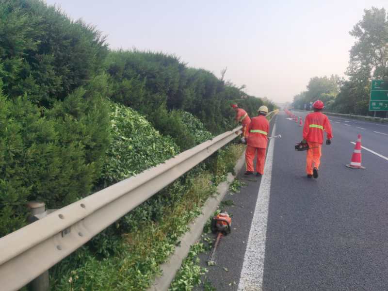 路容路貌优化.jpg