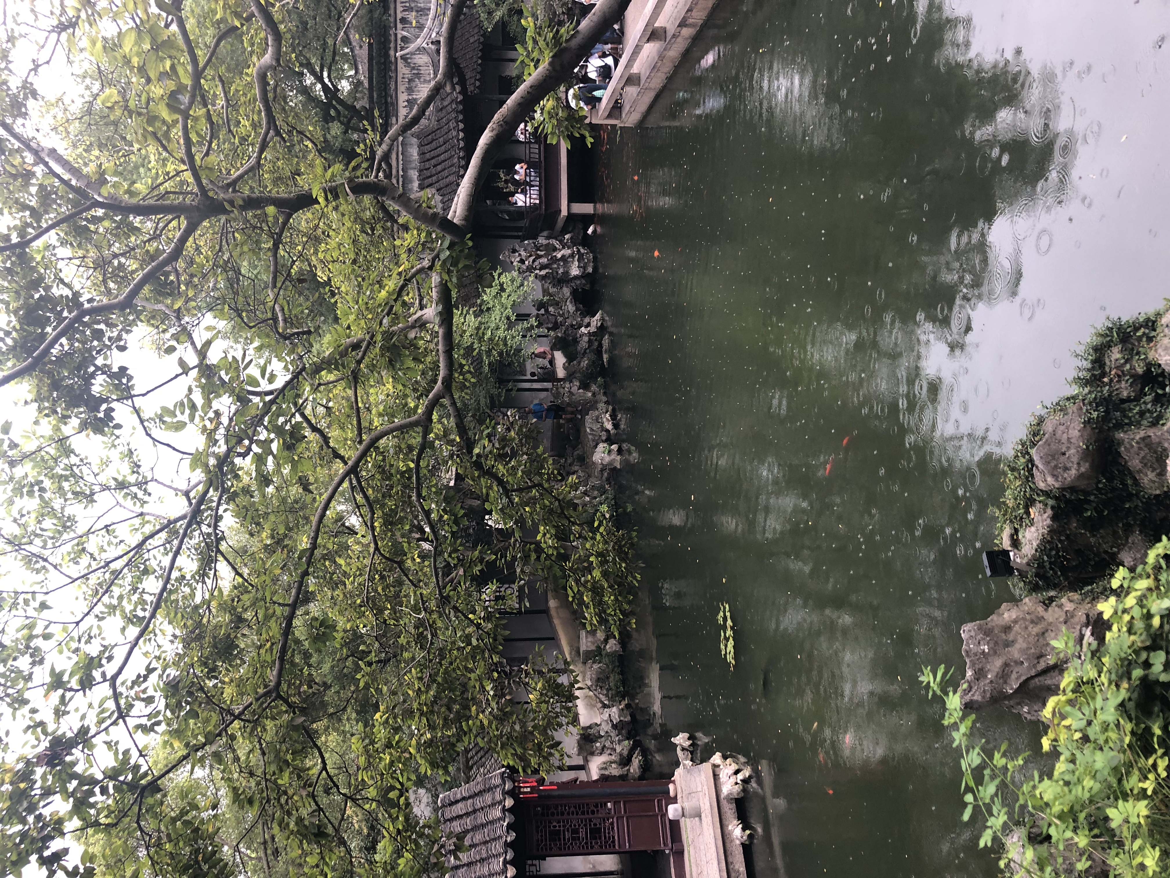 (镇江南-王美霞)满池涟漪,半浸秋色.jpg